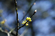 image0172