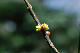 image0173