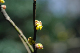 image0174
