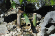 image0176