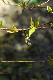 image0179