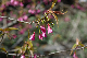 image0180