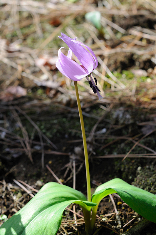 image0111