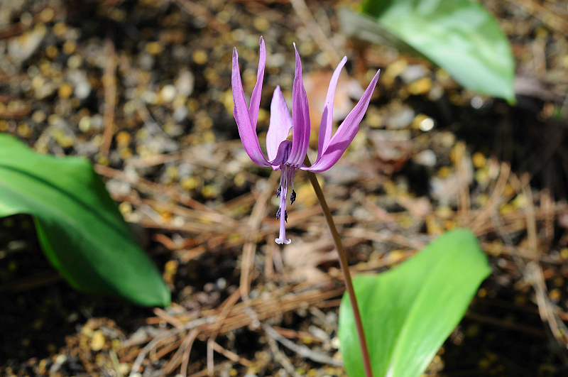 image0116