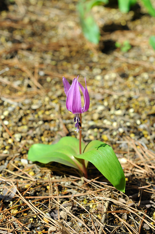 image0119