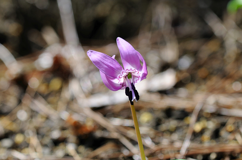 image0127