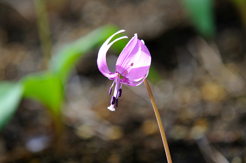 image0128