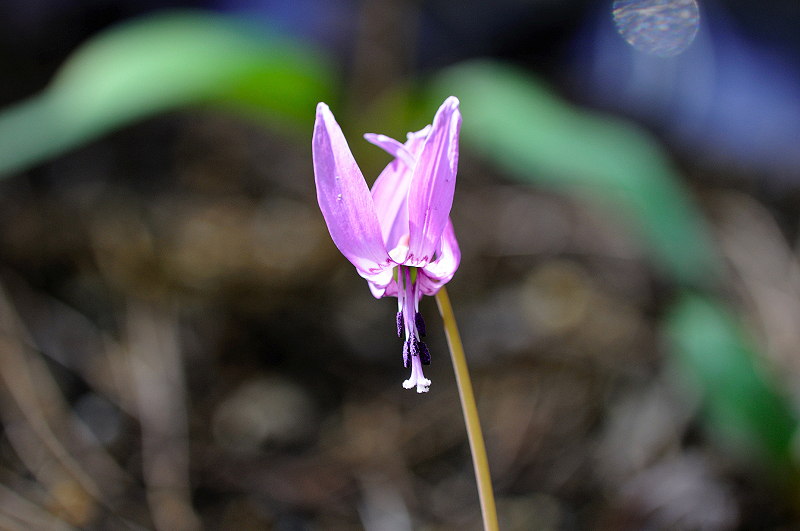 image0130