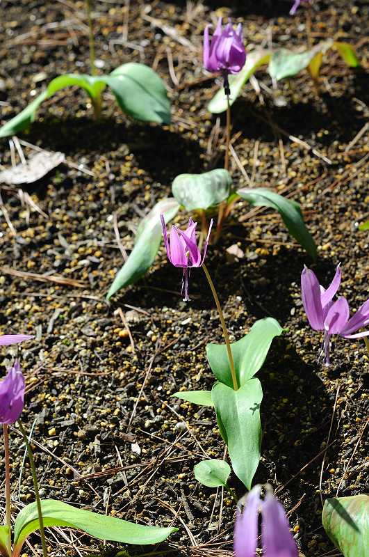 image0131