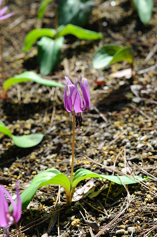 image0134