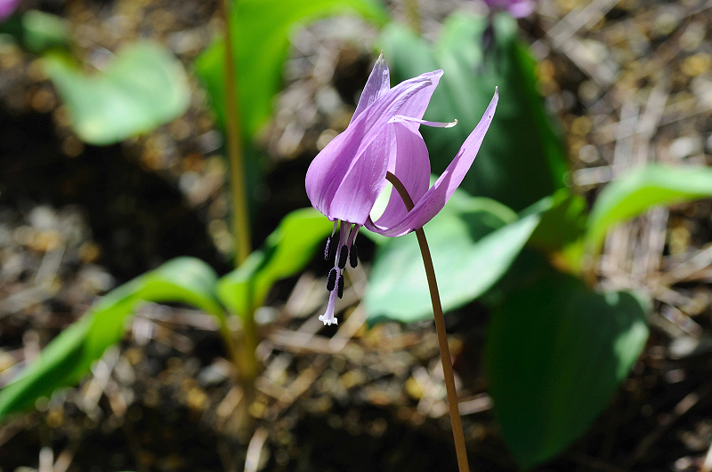 image0140