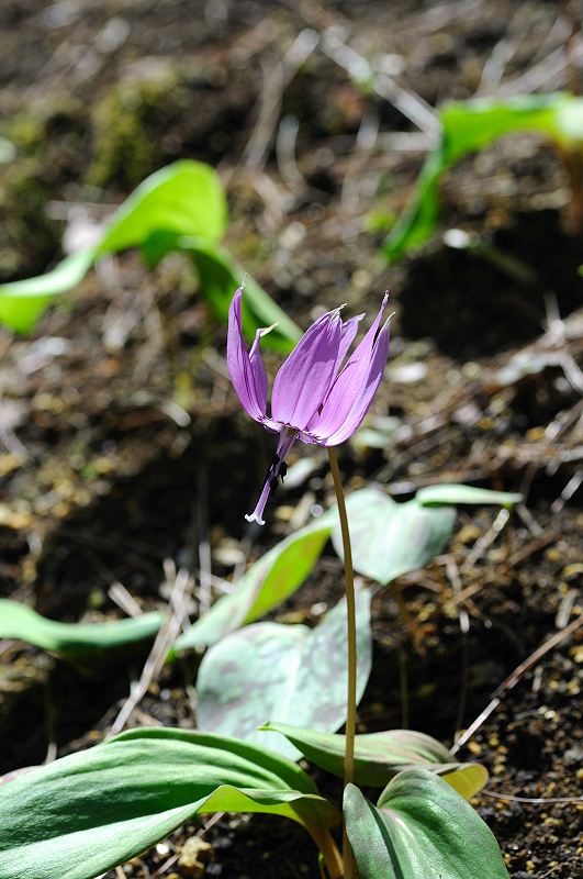 image0143
