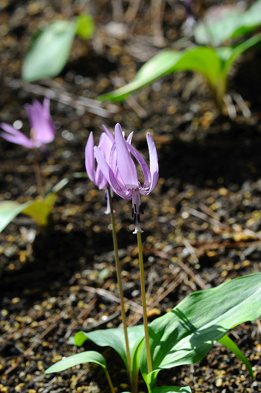 image0144