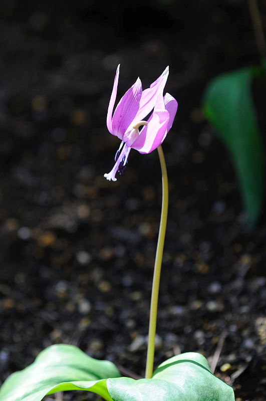 image0146