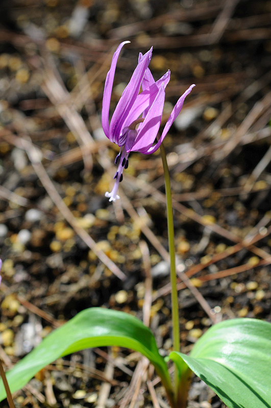 image0147