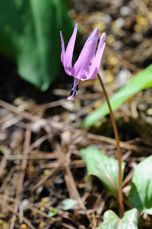 image0148