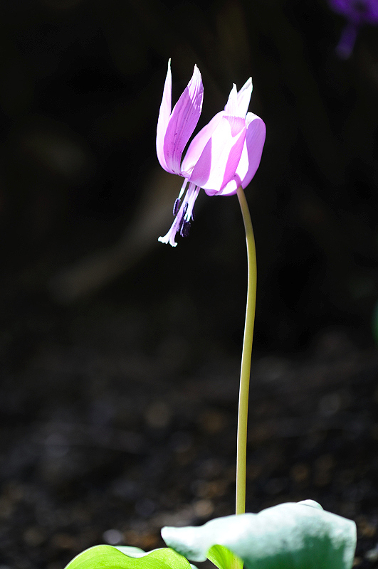 image0149