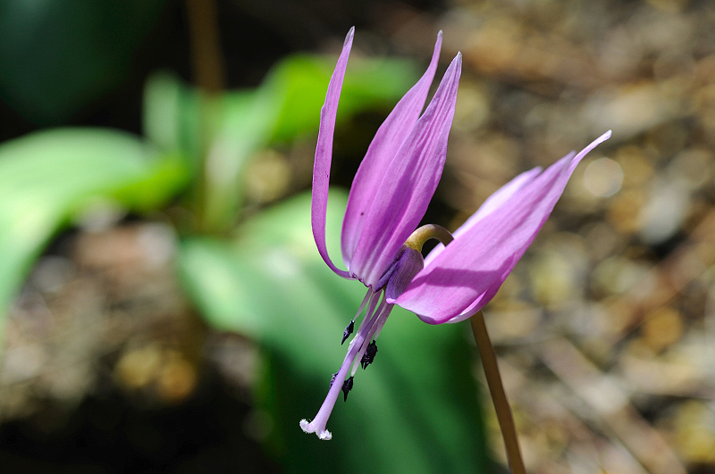 image0150