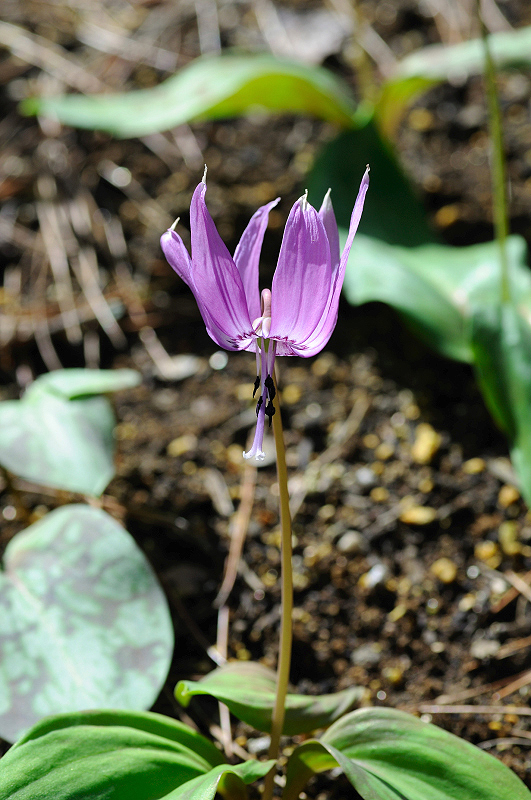 image0151