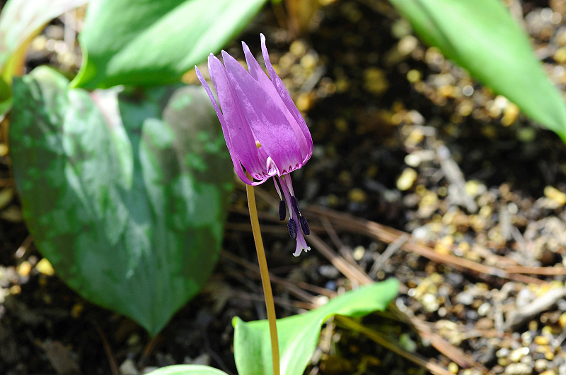 image0153
