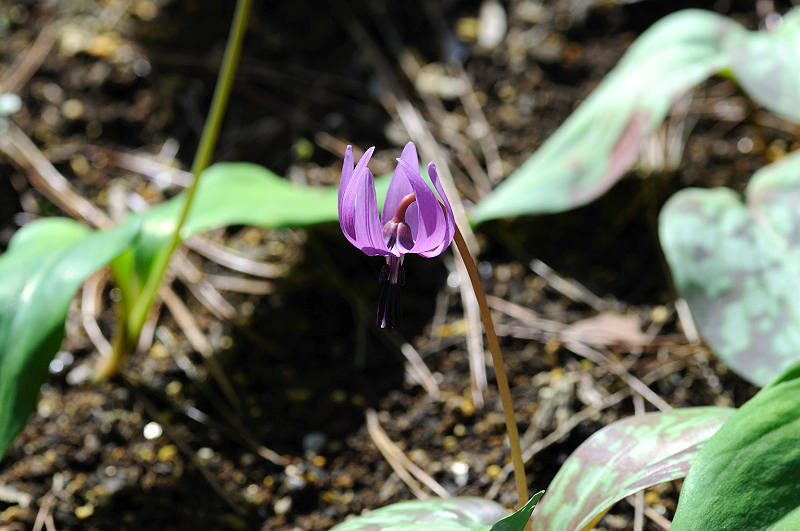 image0154