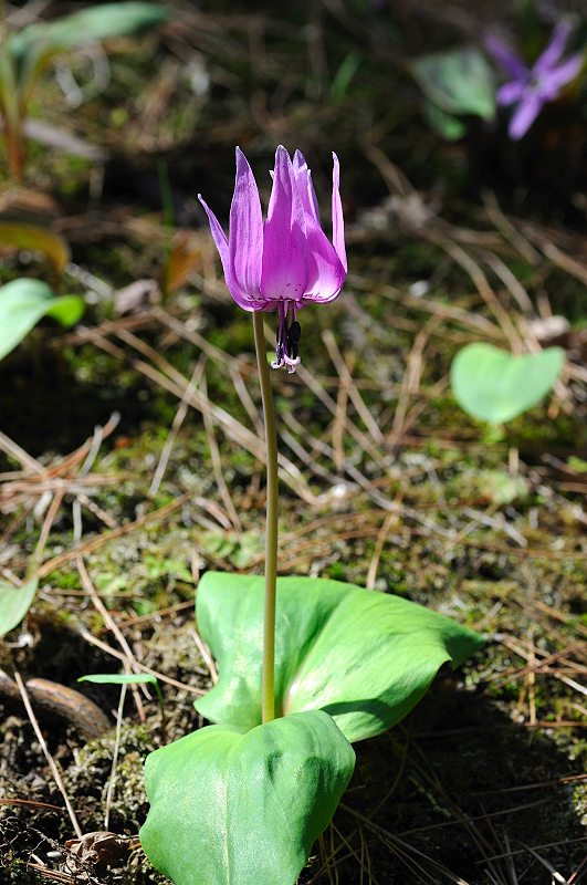 image0156