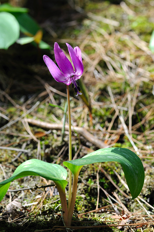 image0157