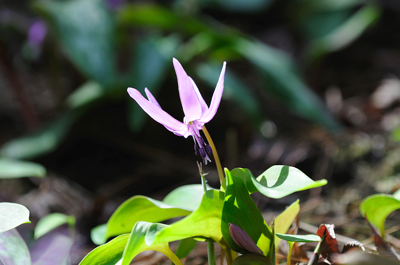 image0158