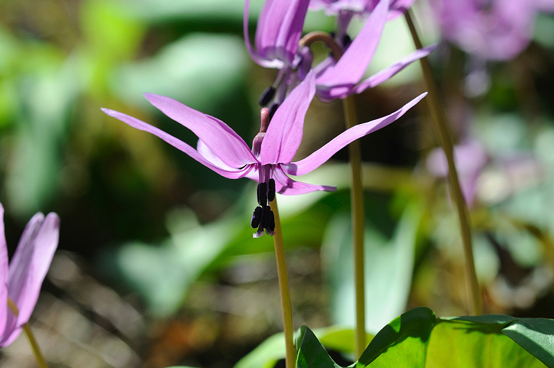 image0159
