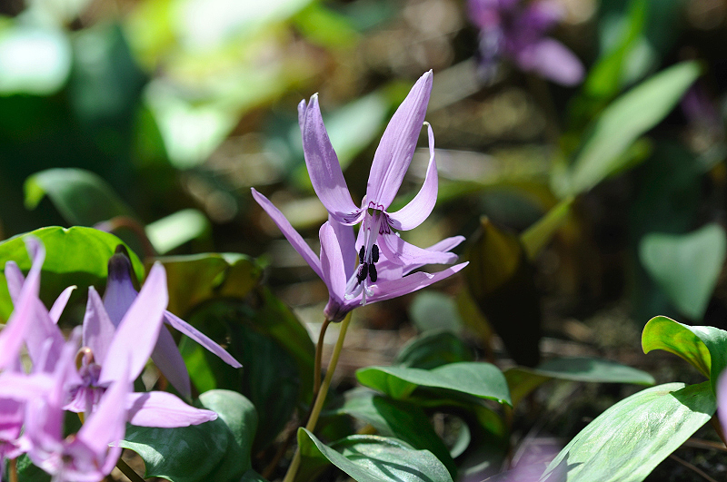 image0160
