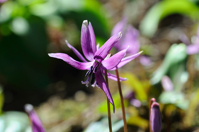 image0161