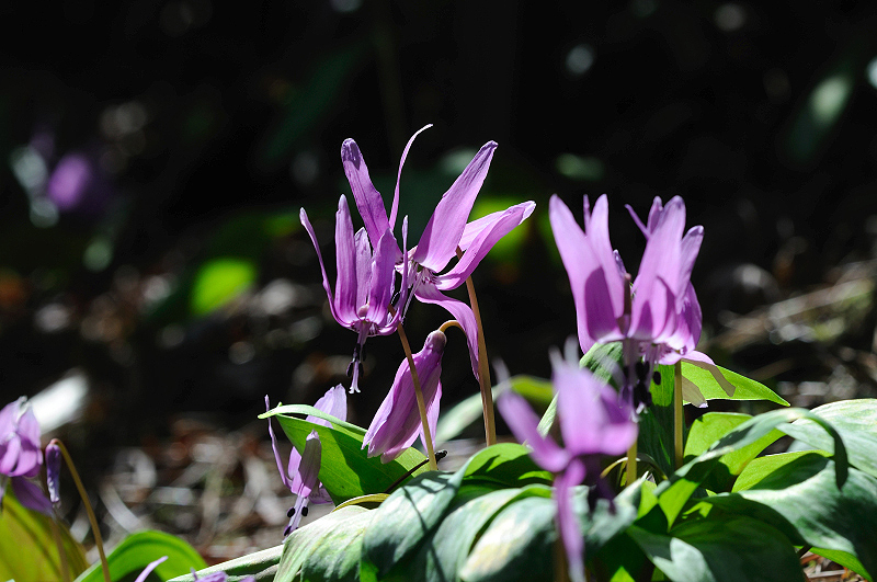 image0163