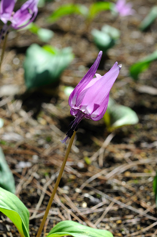 image0165
