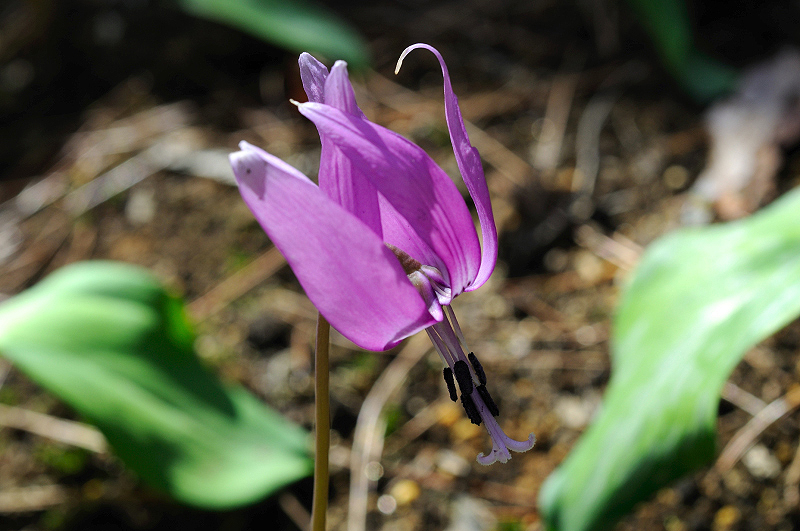 image0166