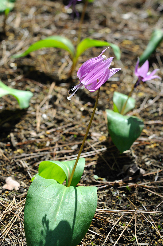 image0167