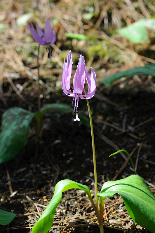 image0168