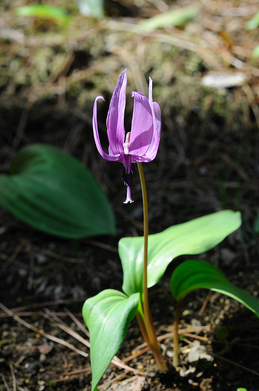 image0169