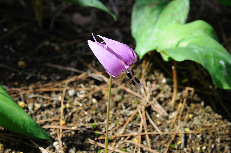 image0170