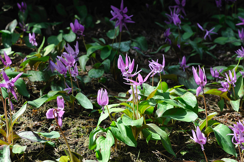 image0171