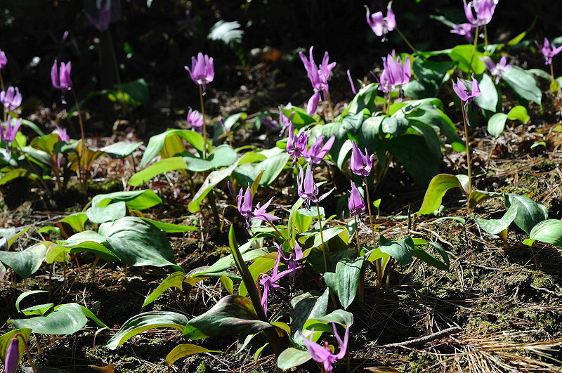 image0172