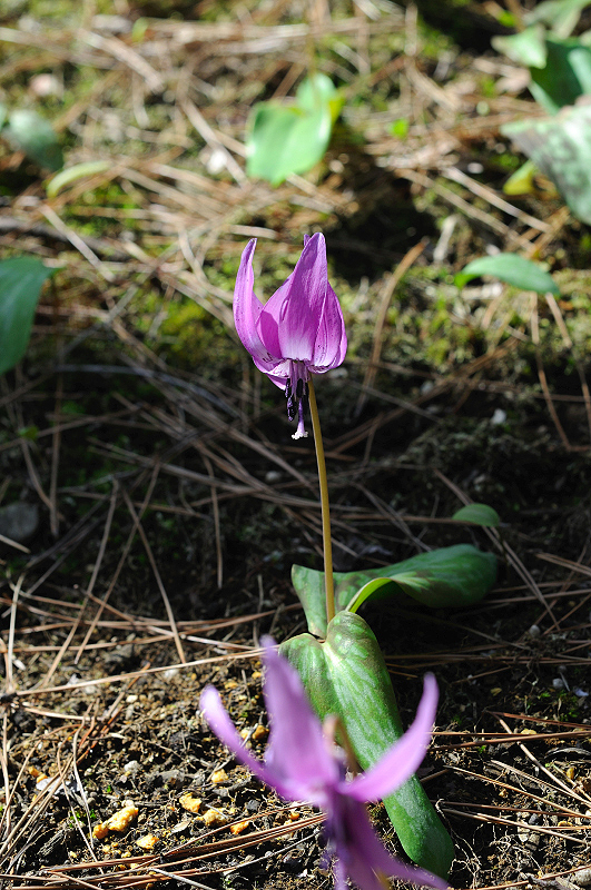 image0173