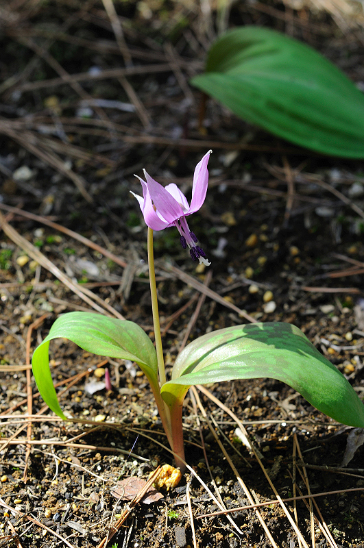 image0174
