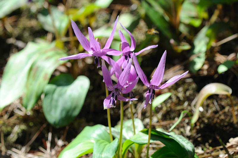 image0175
