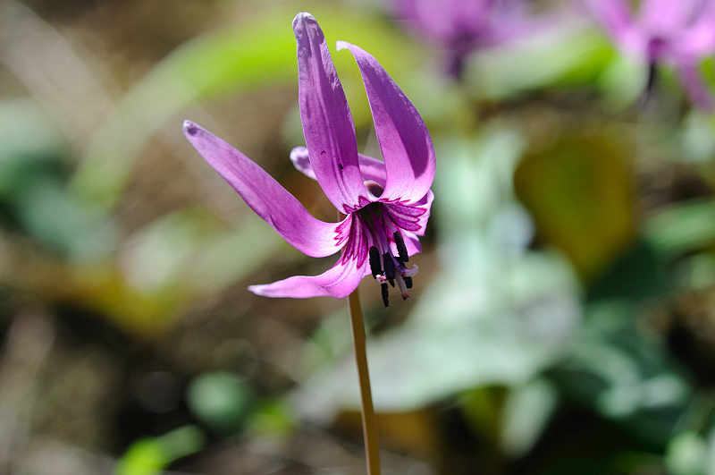 image0177