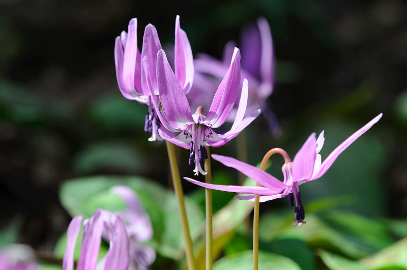 image0180