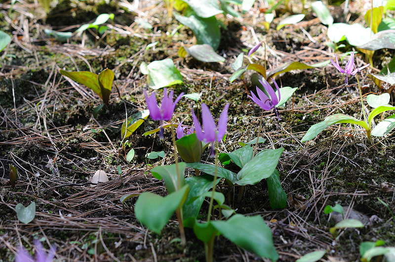 image0185