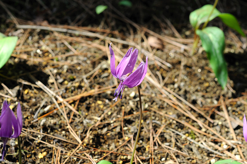 image0187