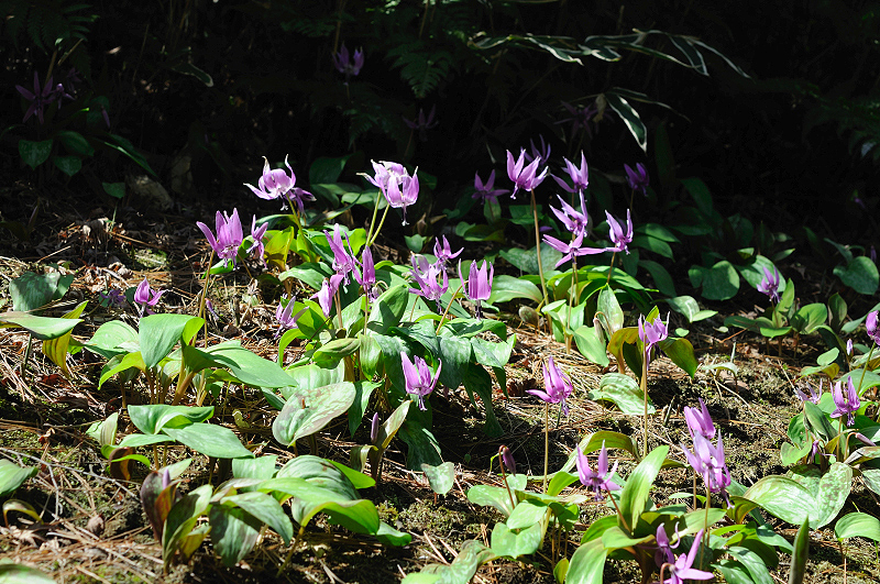 image0189