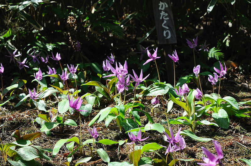 image0190