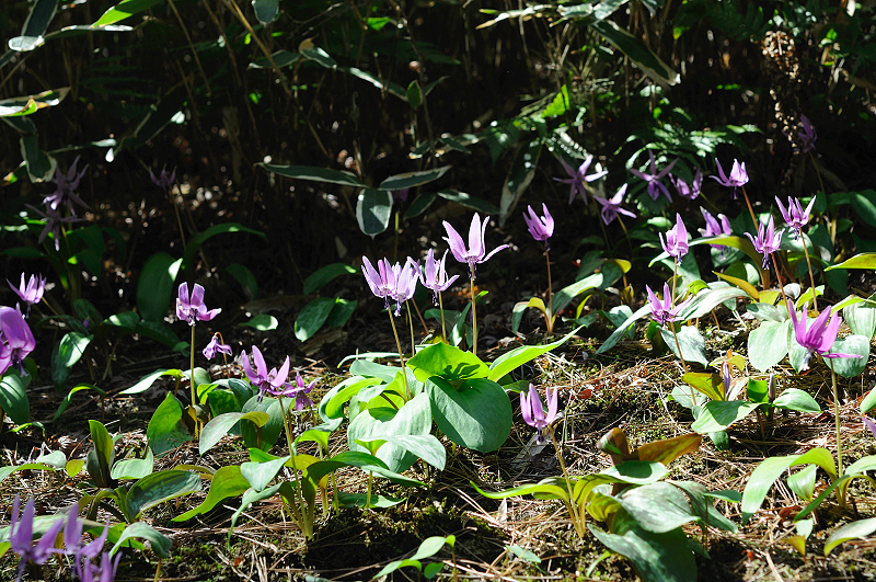 image0191